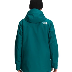 THE NORTH FACE Men's Sickline Jacket NF0A4QWX -down jacket shop NF0A4QWX 7Y7 back