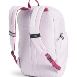 THE NORTH FACE Youth Mini Recon Backpack -down jacket shop NF0A52VX 80S back