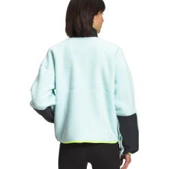 THE NORTH FACE Women's Cragmont Fleece Jacket -down jacket shop NF0A5A9L P6D back