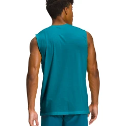 THE NORTH FACE Men's Wander Sleeveless -down jacket shop NF0A7QNN EFS back