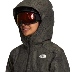THE NORTH FACE Boys' Freedom Insulated Jacket -down jacket shop NF0A7UN7 2DQ modelhood2