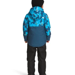 THE NORTH FACE Kid's Freedom Insulated Jacket -down jacket shop NF0A7UN8 949 back