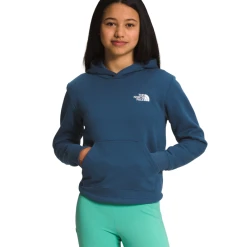 THE NORTH FACE Girls' Camp Fleece Pullover Hoodie -down jacket shop NF0A7WQH HDC back