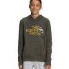 THE NORTH FACE Boys' Camp Fleece Pullover Hoodie 1 THE NORTH FACE Boys' Camp Fleece Pullover Hoodie -down jacket shop THE NORTH FACE Boys Camp Fleece Pullover Hoodie 433c1d45 73f3 4bae bc3c 4587d4f6f884