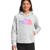 THE NORTH FACE Girl's Camp Fleece Pullover Hoodie -down jacket shop THE NORTH FACE Girls Camp Fleece Pullover Hoodie 7052194c 4c0d 420d a640 2a7732896407