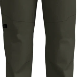 THE NORTH FACE MEN'S PARAMOUNT ACTIVE PANTS IN NEW TAUPE NF0A3SO9