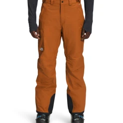 THE NORTH FACE Men's Freedom Insulated Pants Regular Inseam NF0A5ABU