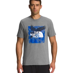 THE NORTH FACE Men's Short Sleeve Americana Tee