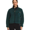 THE NORTH FACE Women's Extreme Pile Full Zip Jacket 1 THE NORTH FACE Women's Extreme Pile Full Zip Jacket -down jacket shop THE NORTH FACE Womens Extreme Pile Full Zip Jacket
